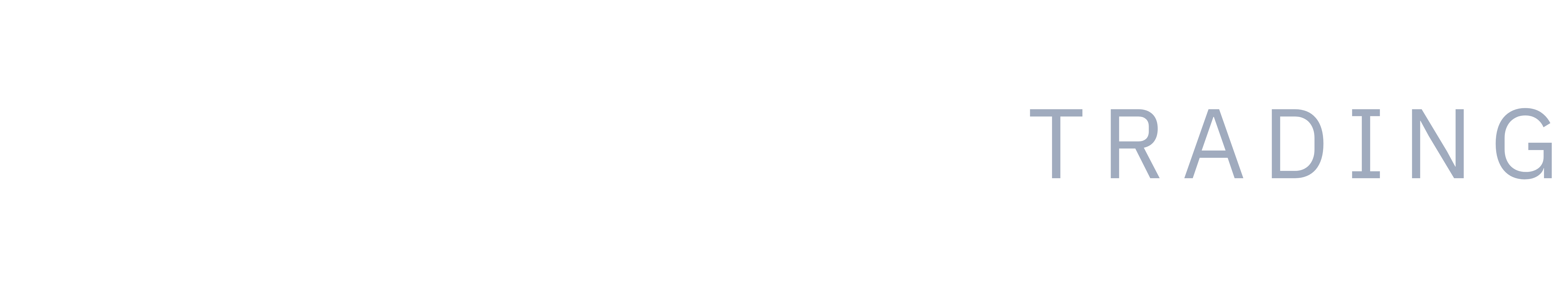 AI Velocity
